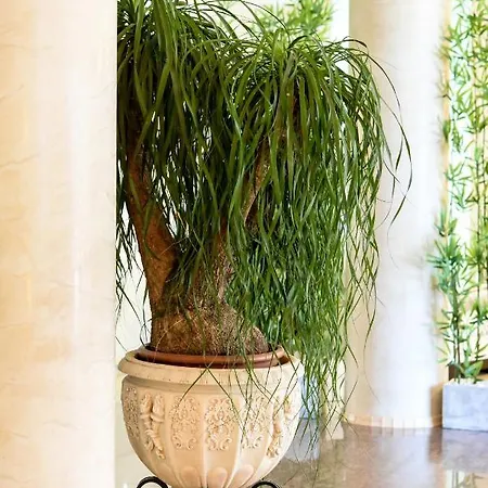 Casa Di Marco Эфорие Норд