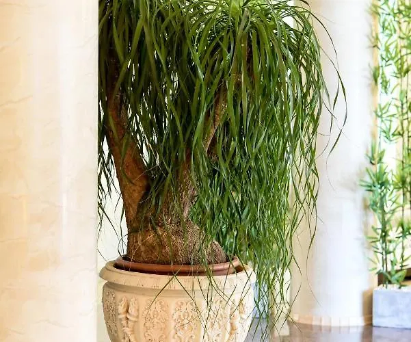 Casa Di Marco Эфорие Норд